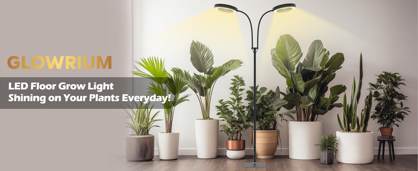 Which Indoor Plants Are Suitable for Full Spectrum Grow Lights?  Glowrium