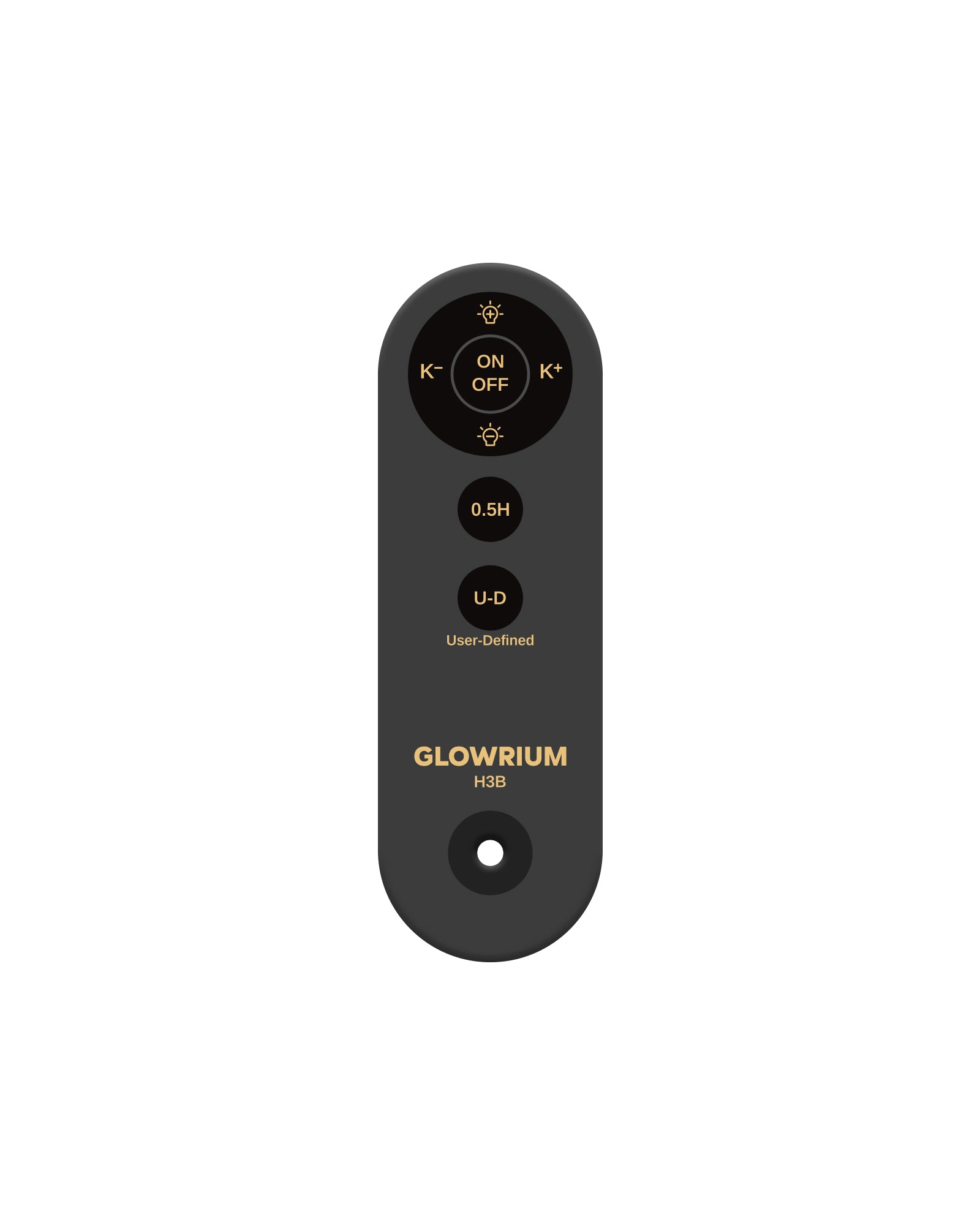 H3B Floor Lamp – Remote Control
