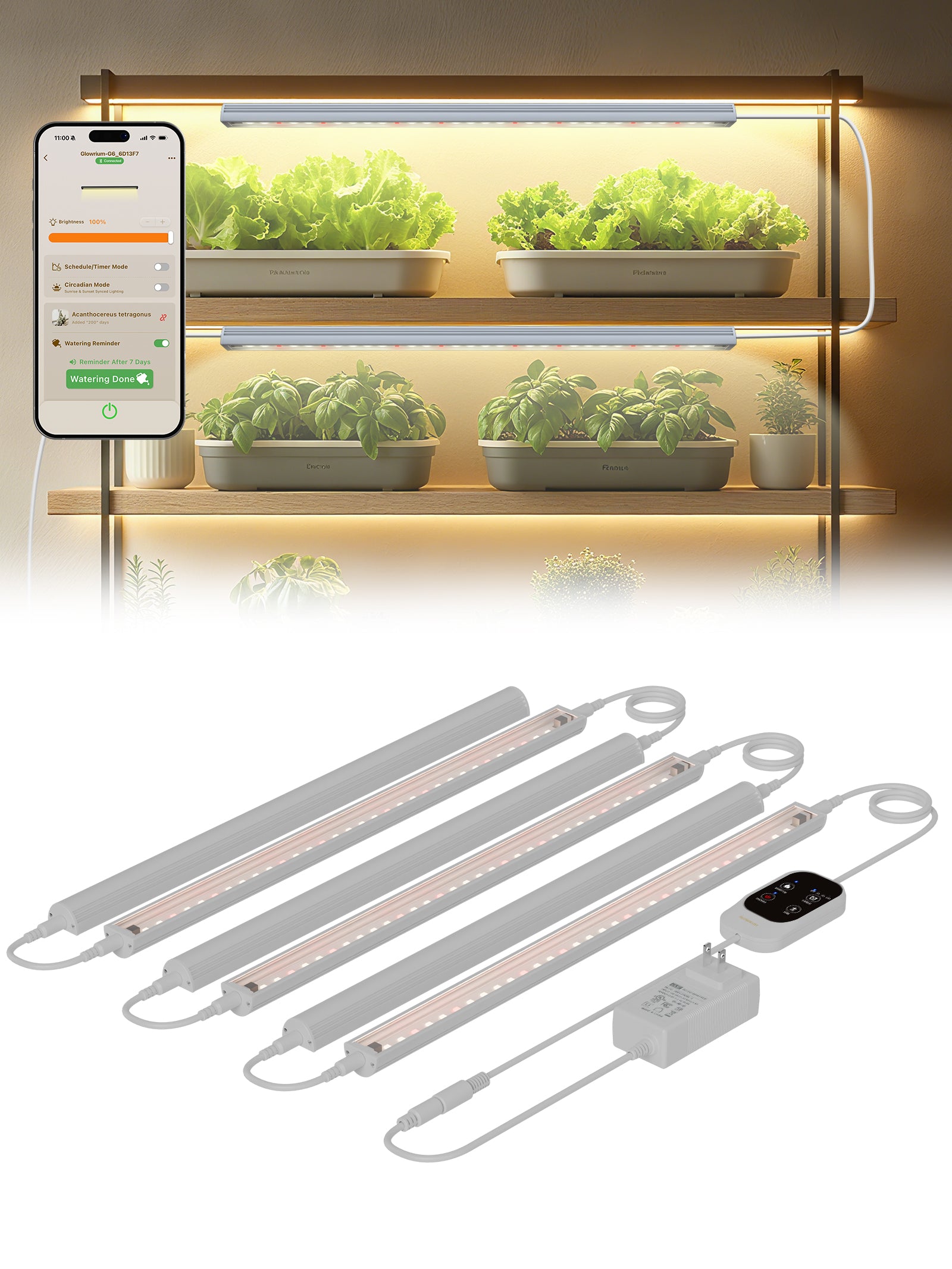 GLOWRIUM Smart LED Grow Light for Indoor Plants - Full Spectrum, Auto Timer, Stepless Dimming, Modular, Plug & Play-G6