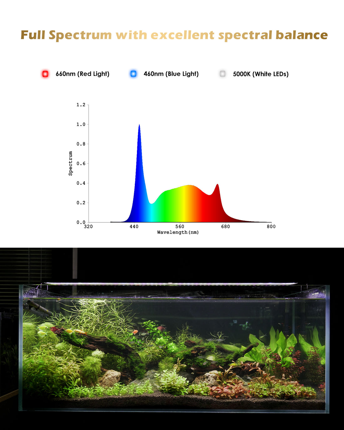 GLOWRIUM®Full Spectrum LED Aquarium Light for Plant Aquarium With Day/Moon Modes