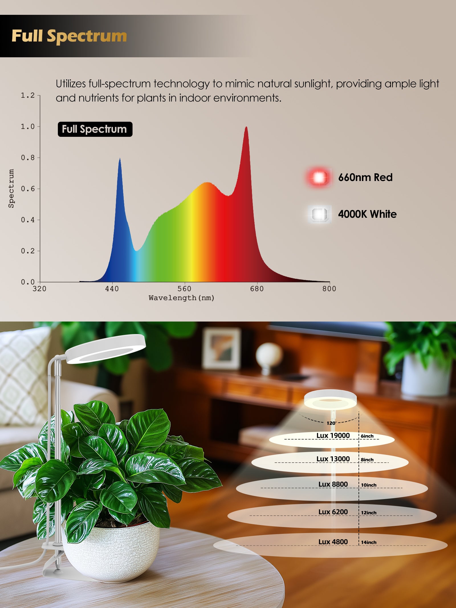 Full-Spectrum Plant Grow Light | Timed Dimming, Stable Base, Soft Light to Protect Plants