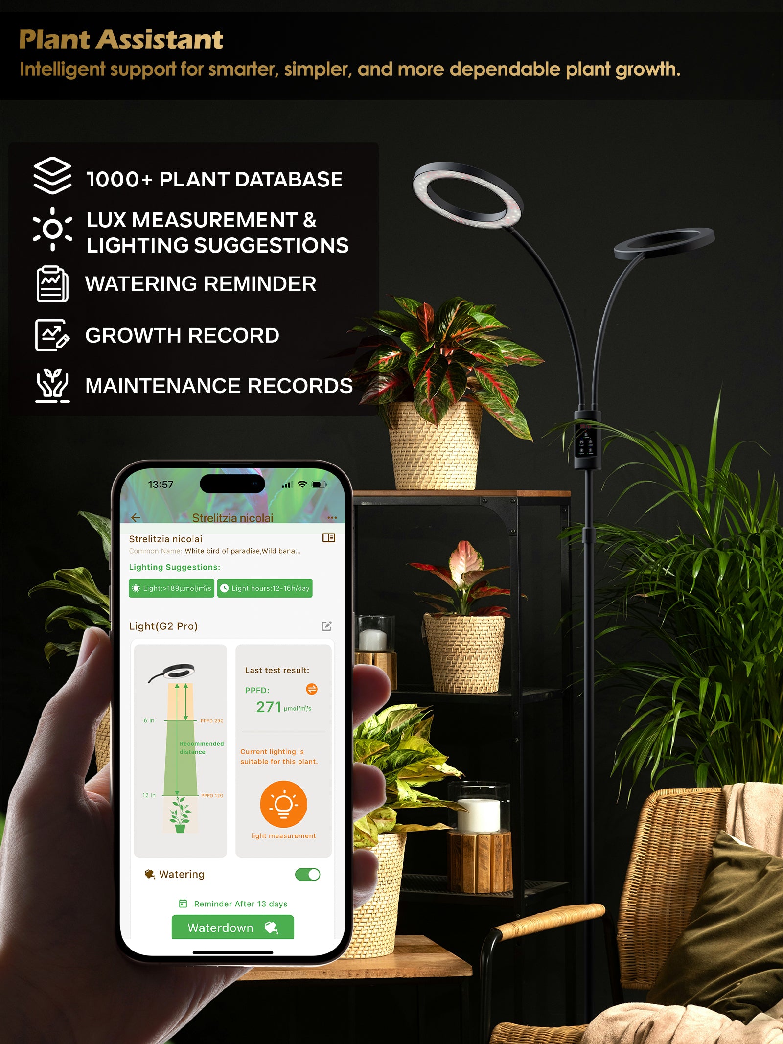 GLOWRIUM 48W Smart Grow Light – Dual-Head Full Spectrum, Adjustable Height, Stepless Dimming, Auto-Timer for Most Indoor Plants-G5