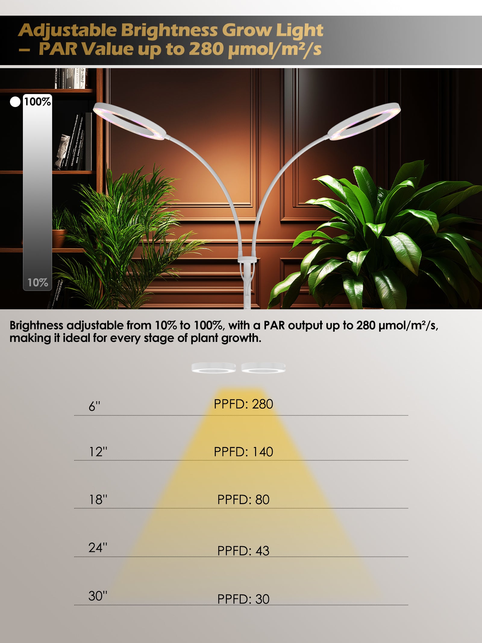 Full Spectrum Plant Grow Light G2Pro 48W – Indoor LED Light with Timer, Height Adjustment & Stepless Dimming