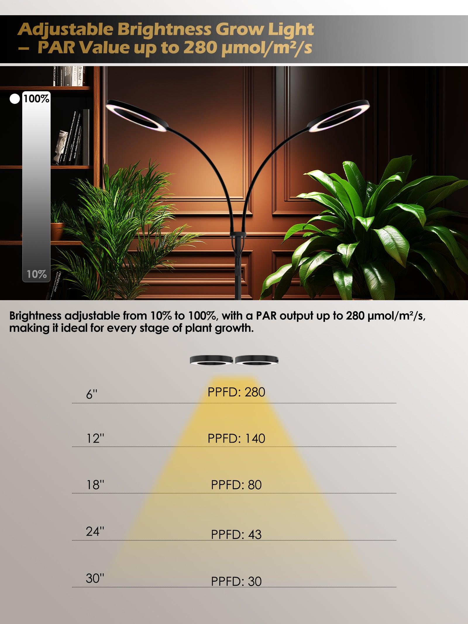 GLOWRIUM Full Spectrum 48W Plant Grow Light – Indoor LED Light with Timer, Height Adjustment & Stepless Dimming-G2Pro