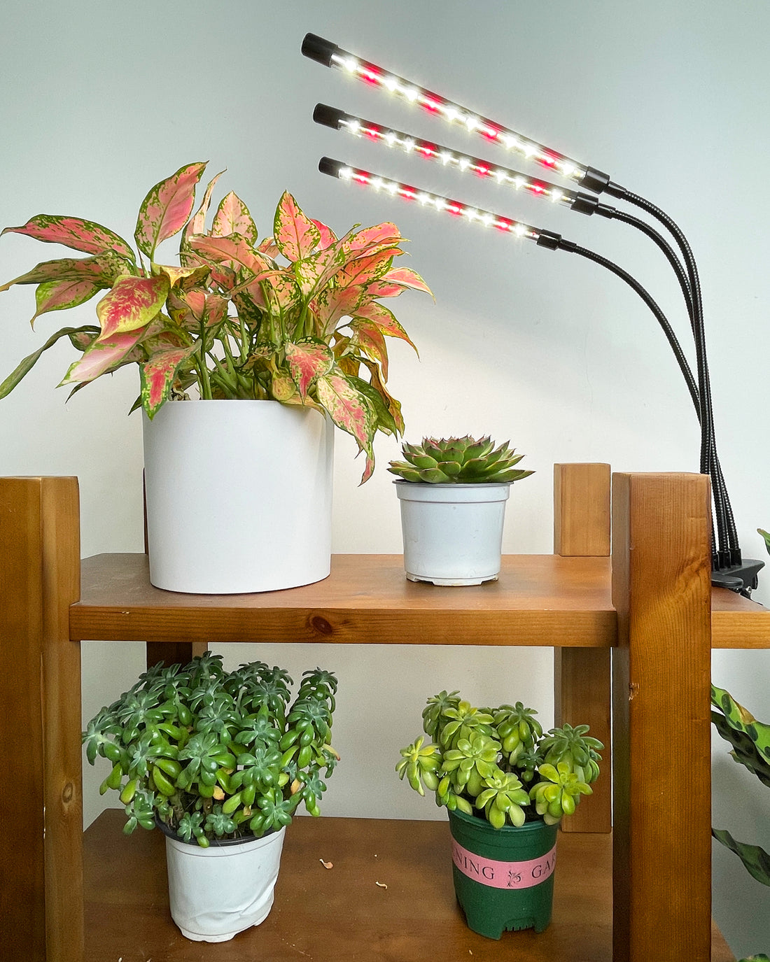 GLOWRIUM®Full Spectrum LED Clamp Grow Lights for Indoor Plants