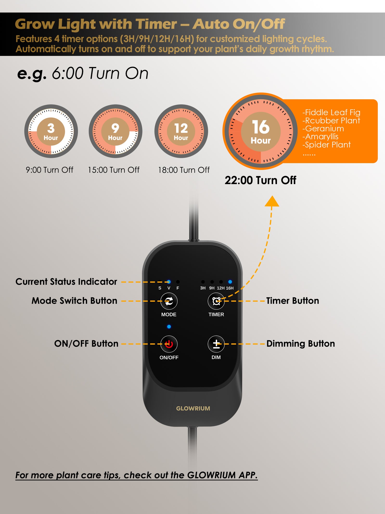 GLOWRIUM Full Spectrum 48W Plant Grow Light – Indoor LED Light with Timer, Height Adjustment & Stepless Dimming-G2Pro