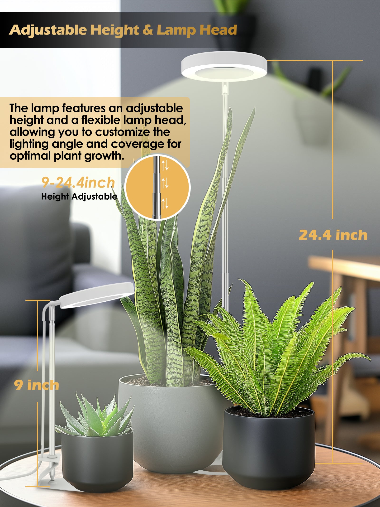 Full-Spectrum Plant Grow Light | Timed Dimming, Stable Base, Soft Light to Protect Plants