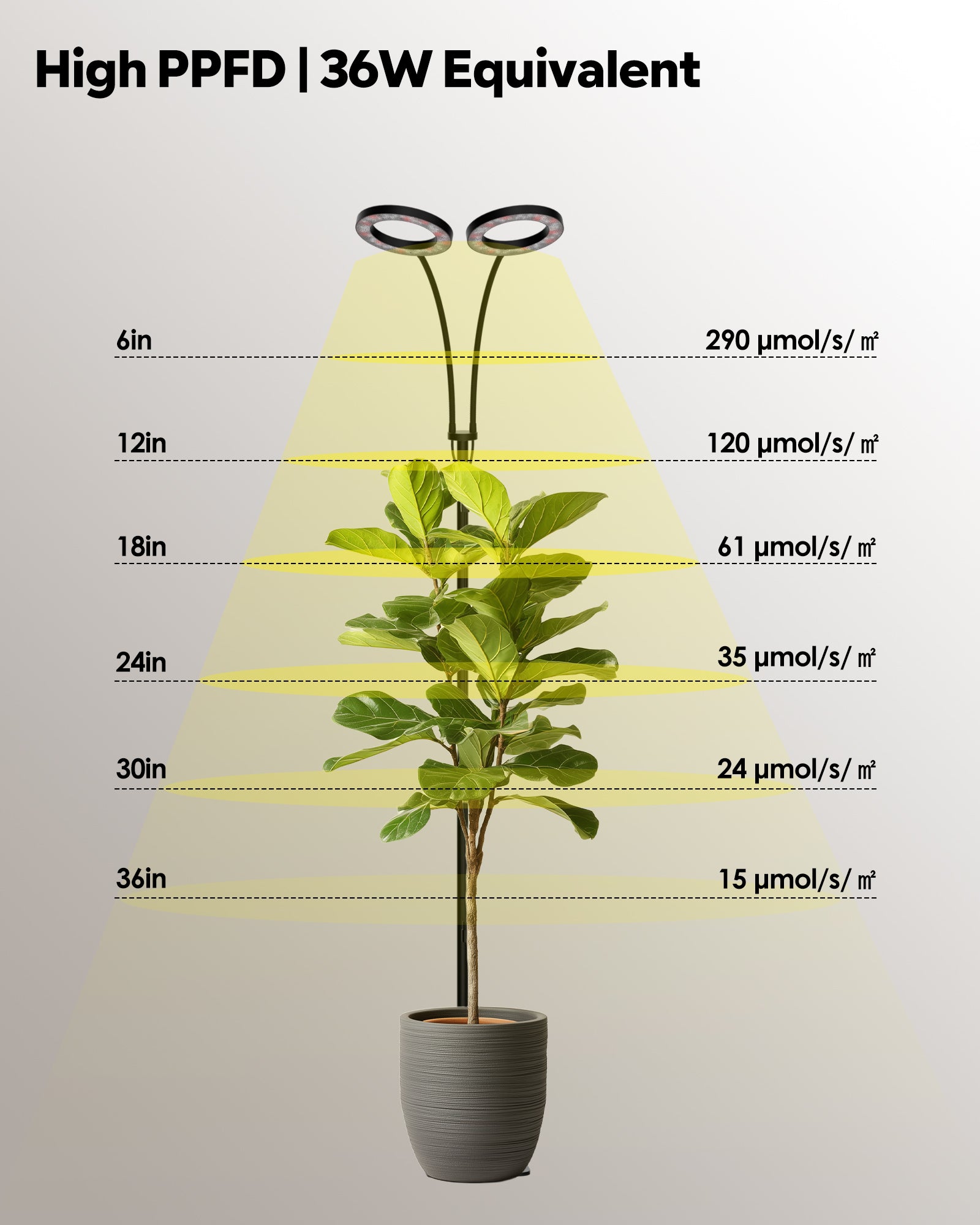 GLOWRIUM G2 | 36W Full Spectrum LED Floor Grow Light