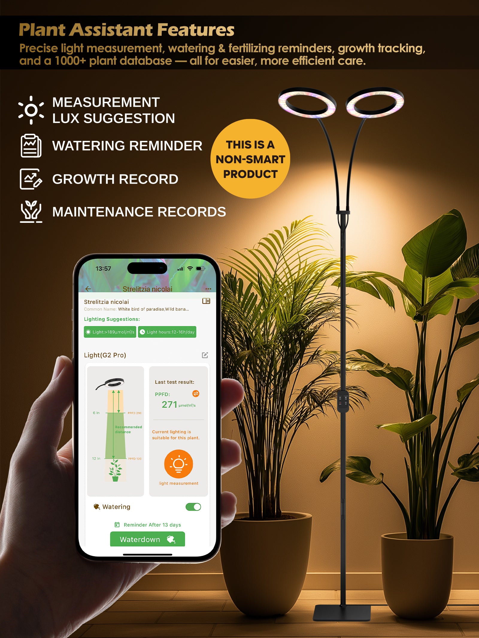 GLOWRIUM Full Spectrum 48W Plant Grow Light – Indoor LED Light with Timer, Height Adjustment & Stepless Dimming-G2Pro