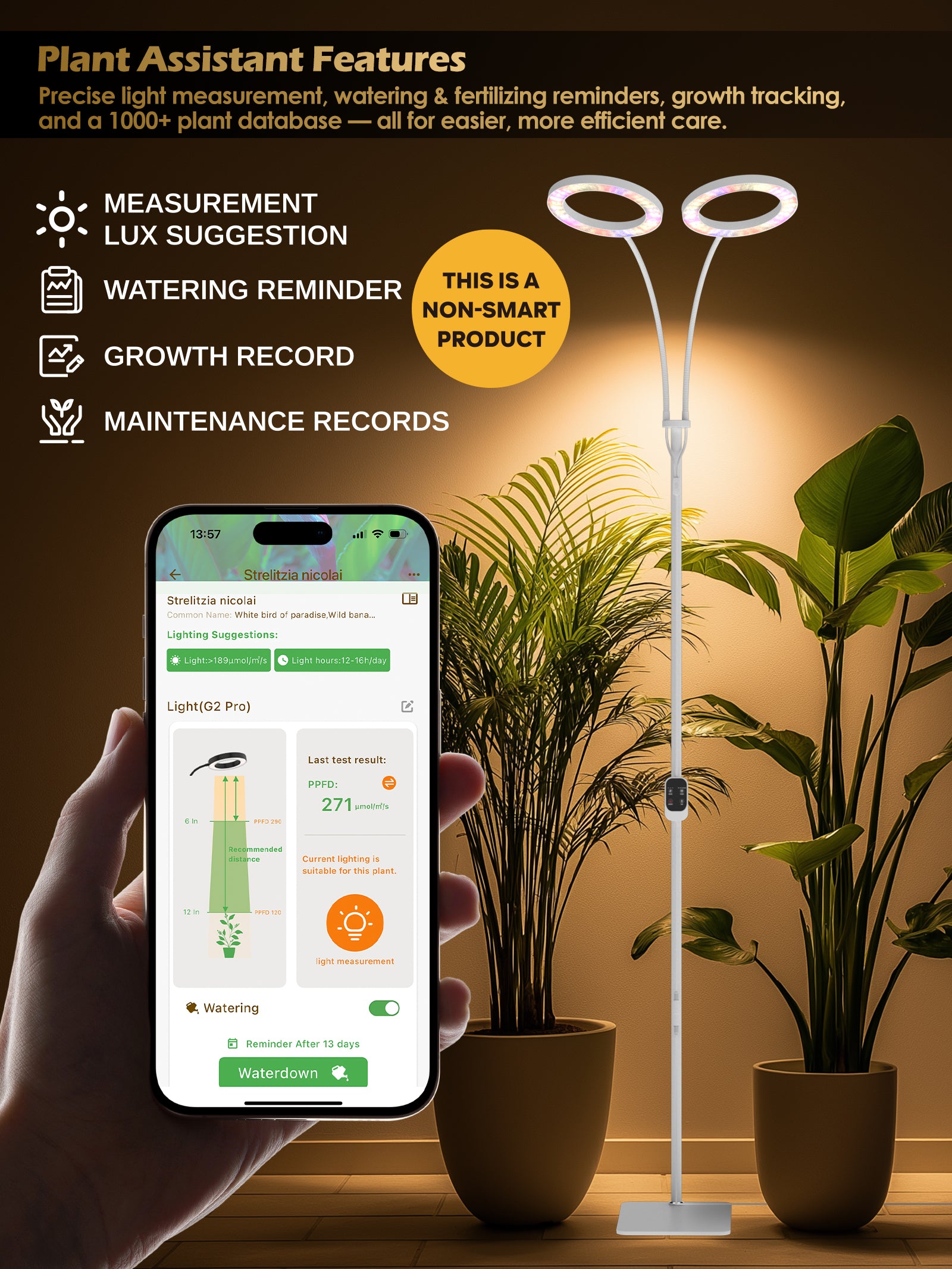 Full Spectrum Plant Grow Light G2Pro 48W – Indoor LED Light with Timer, Height Adjustment & Stepless Dimming