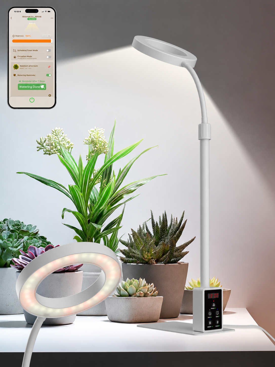 GLOWRIUM® G4 12W Smart LED Grow Light - Full Spectrum Indoor Plant Lamp with App Control, Adjustable Height, Dual Timer, Plant Care Assistant