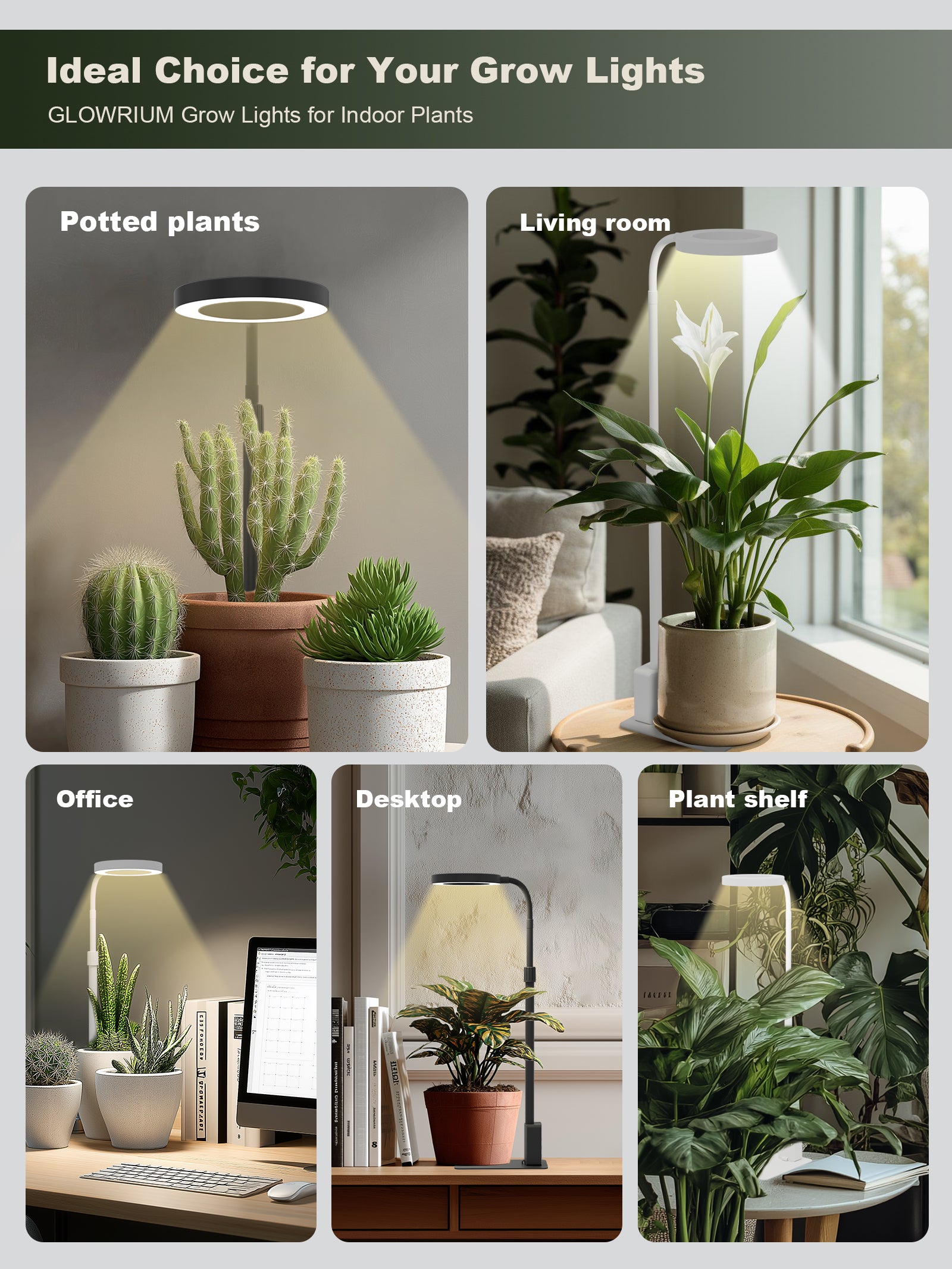 GLOWRIUM G4 | 12W Smart Full Spectrum LED Desktop Grow Light