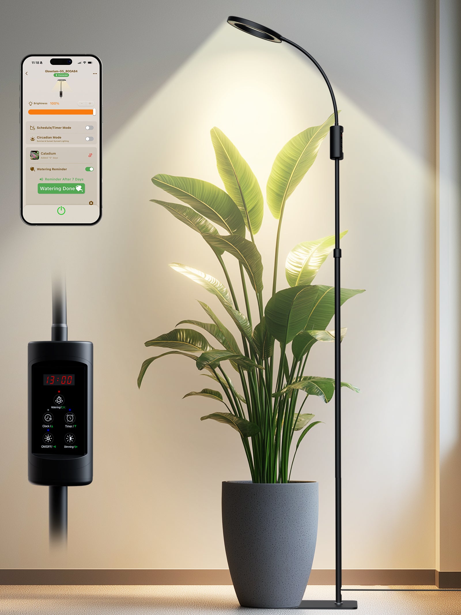 GLOWRIUM 48W Smart Grow Light – Dual-Head Full Spectrum, Adjustable Height, Stepless Dimming, Auto-Timer for Most Indoor Plants-G5
