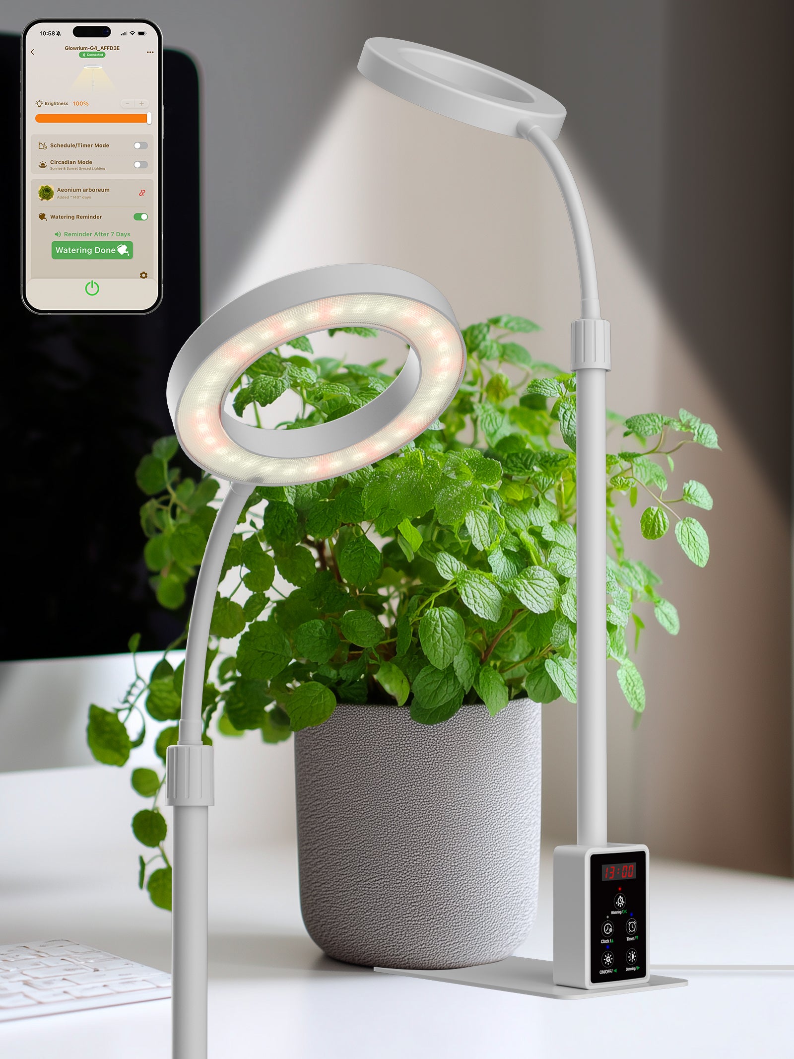 GLOWRIUM® G4 8W Smart LED Desktop Grow Light for Small Indoor