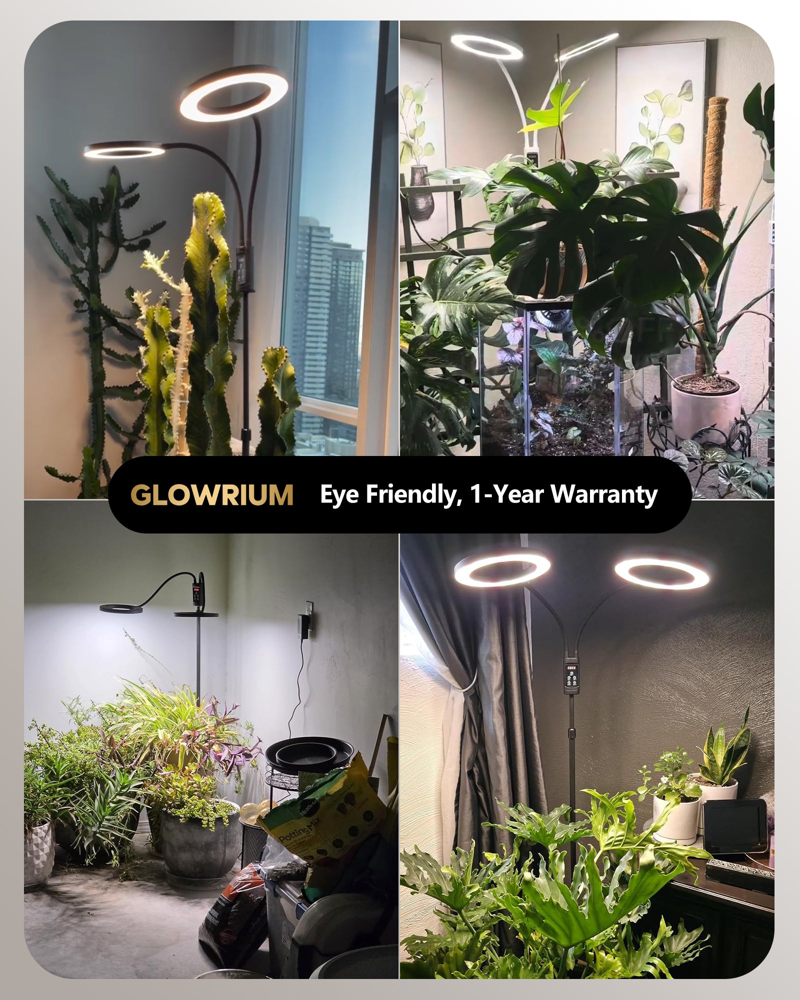 GLOWRIUM G5 | 48W Smart Full Spectrum LED Floor Grow Light