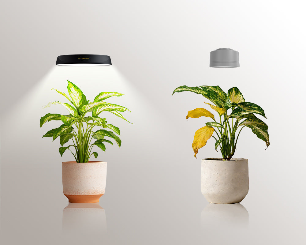 Beginner’s Guide to Using Indoor Grow Lights(8 Smart Modes Explained)