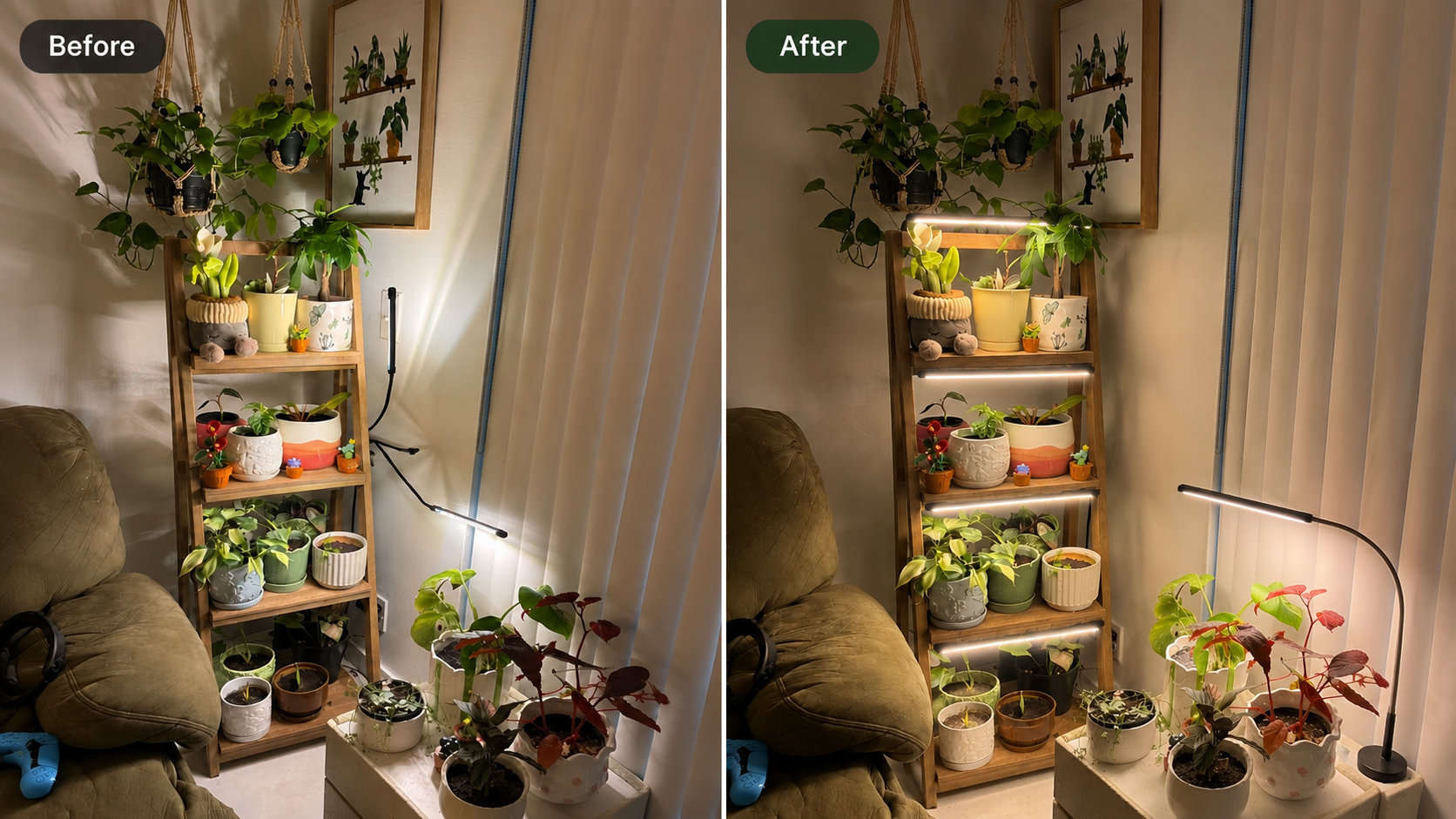 Why Are My Houseplants Not Thriving? 5 Simple Fixes for Healthier Indoor Plants