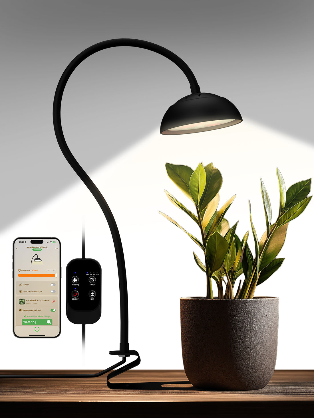 GLOWRIUM Smart Grow Light 10W – Full Spectrum LED for Indoor Plants