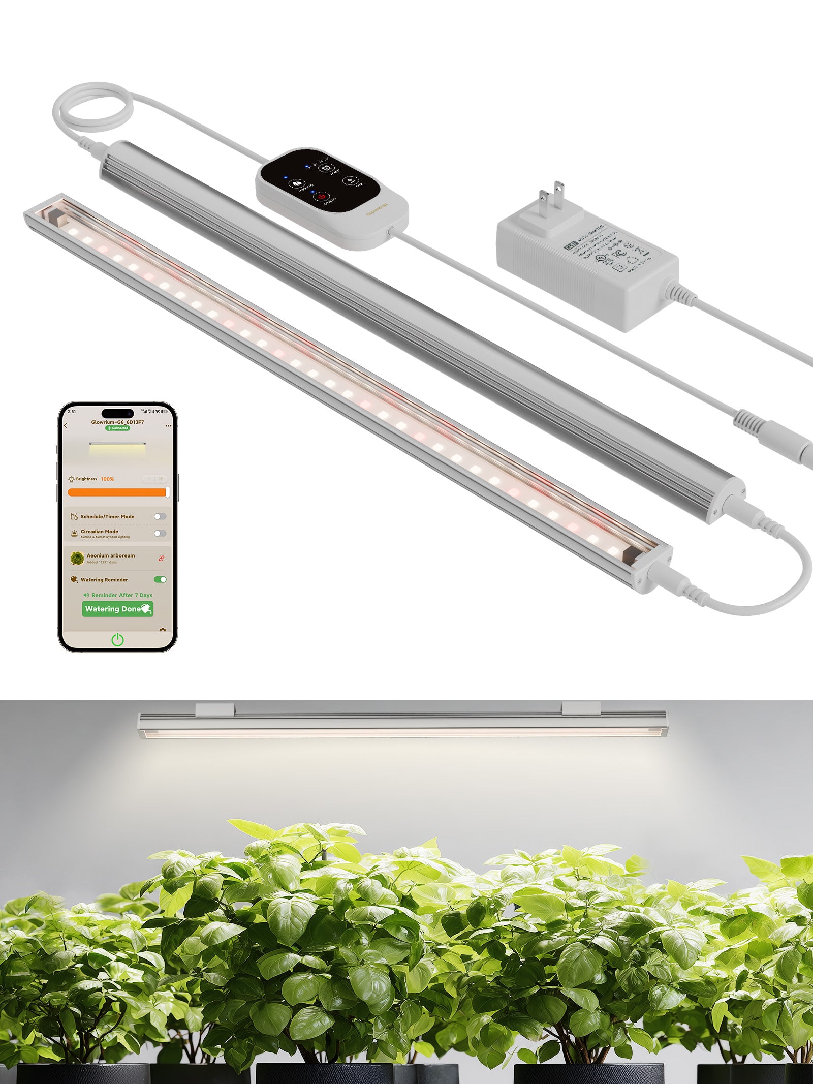 GLOWRIUM Smart Grow Light Strips with App Control – 15" Full Spectrum LED Plant Lights, Auto Timer, 3 Dimming Levels, for Indoor Plants &amp; Shelves-G6 Silver