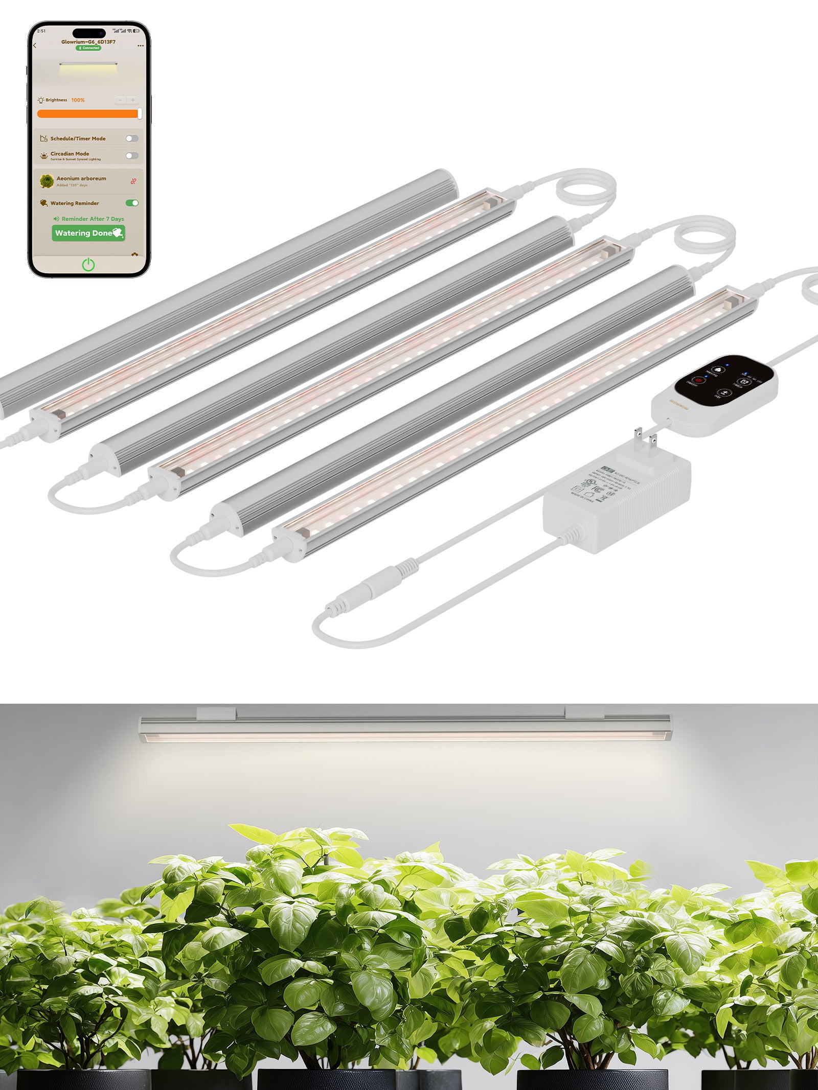 GLOWRIUM Smart Grow Light Strips with App Control – 15" Full Spectrum LED Plant Lights, Auto Timer, 3 Dimming Levels, for Indoor Plants &amp; Shelves-G6 Silver