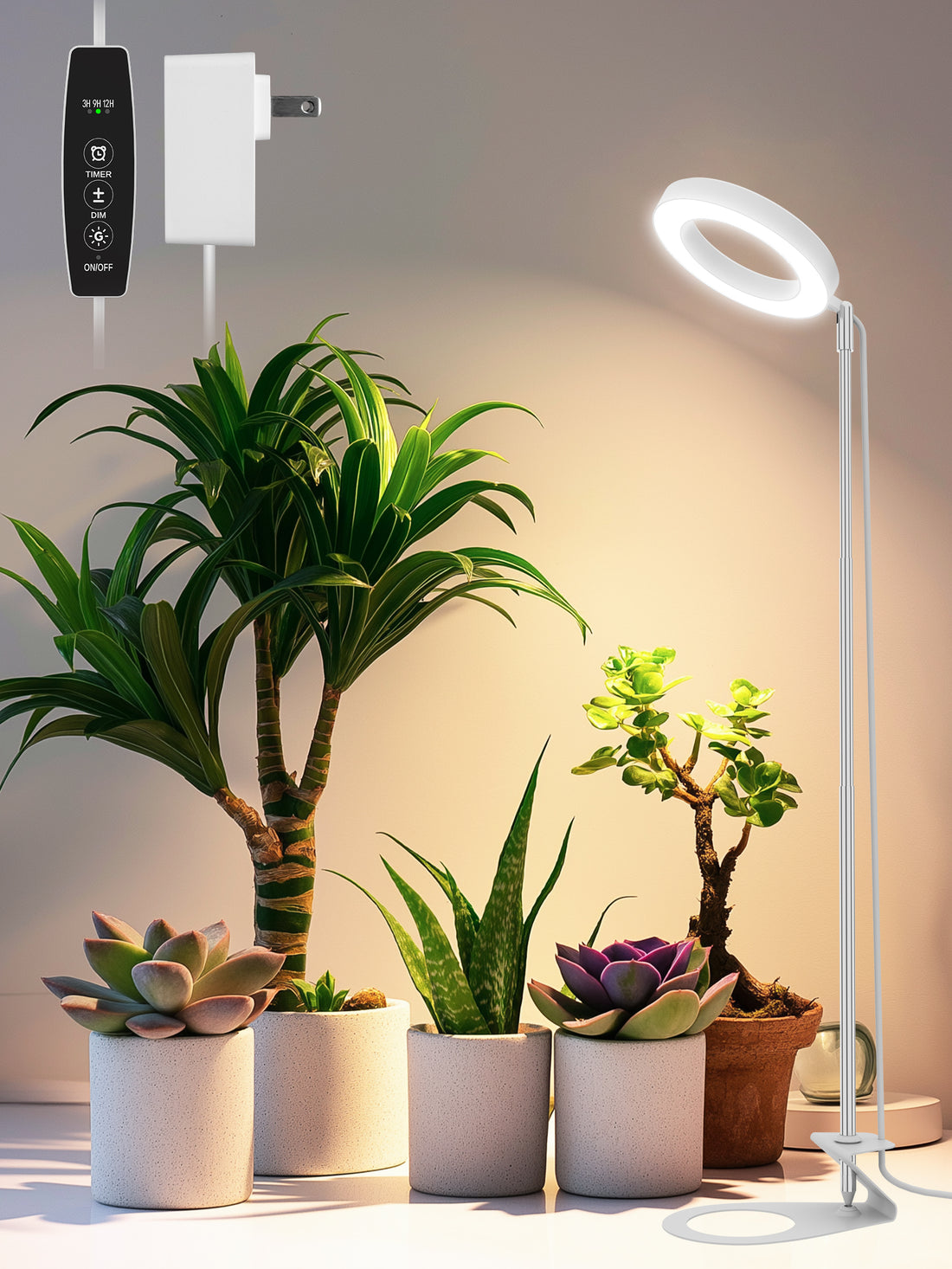 Full-Spectrum Plant Grow Light | Timed Dimming, Stable Base, Soft Light to Protect Plants