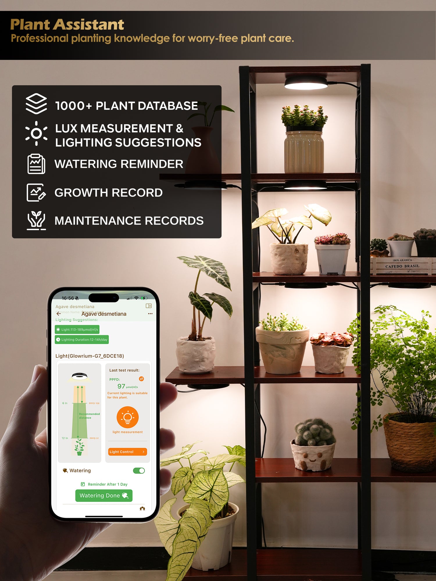 GLOWRIUM LED Grow Light for Indoor Plants – Smart Full Spectrum, Auto Timer, Stepless Dimming, Watering Reminder, Modular Design Plant Assistant-G7