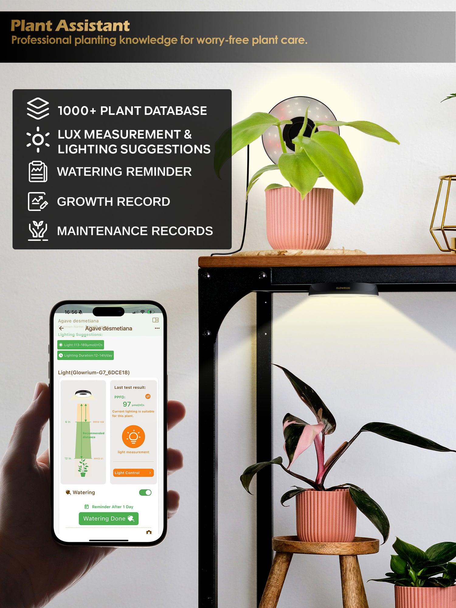 GLOWRIUM LED Grow Light for Indoor Plants – Smart Full Spectrum, Auto Timer, Stepless Dimming, Watering Reminder, Modular Design Plant Assistant