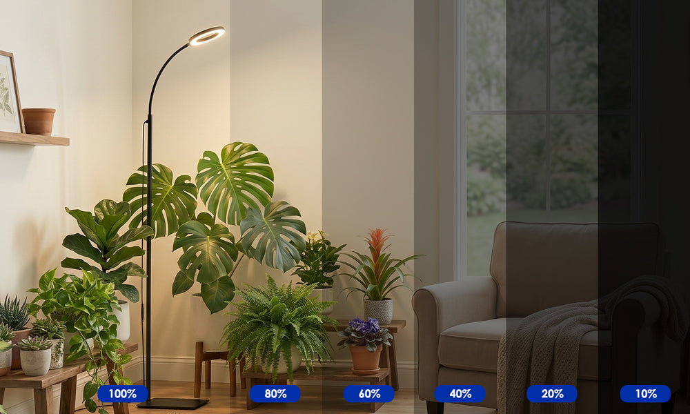 10%- 100% Stepless Dimmng / 6-Level Dimming 