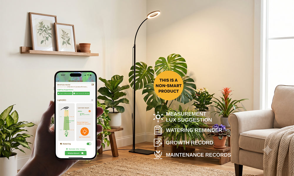 Plant Assistant Features