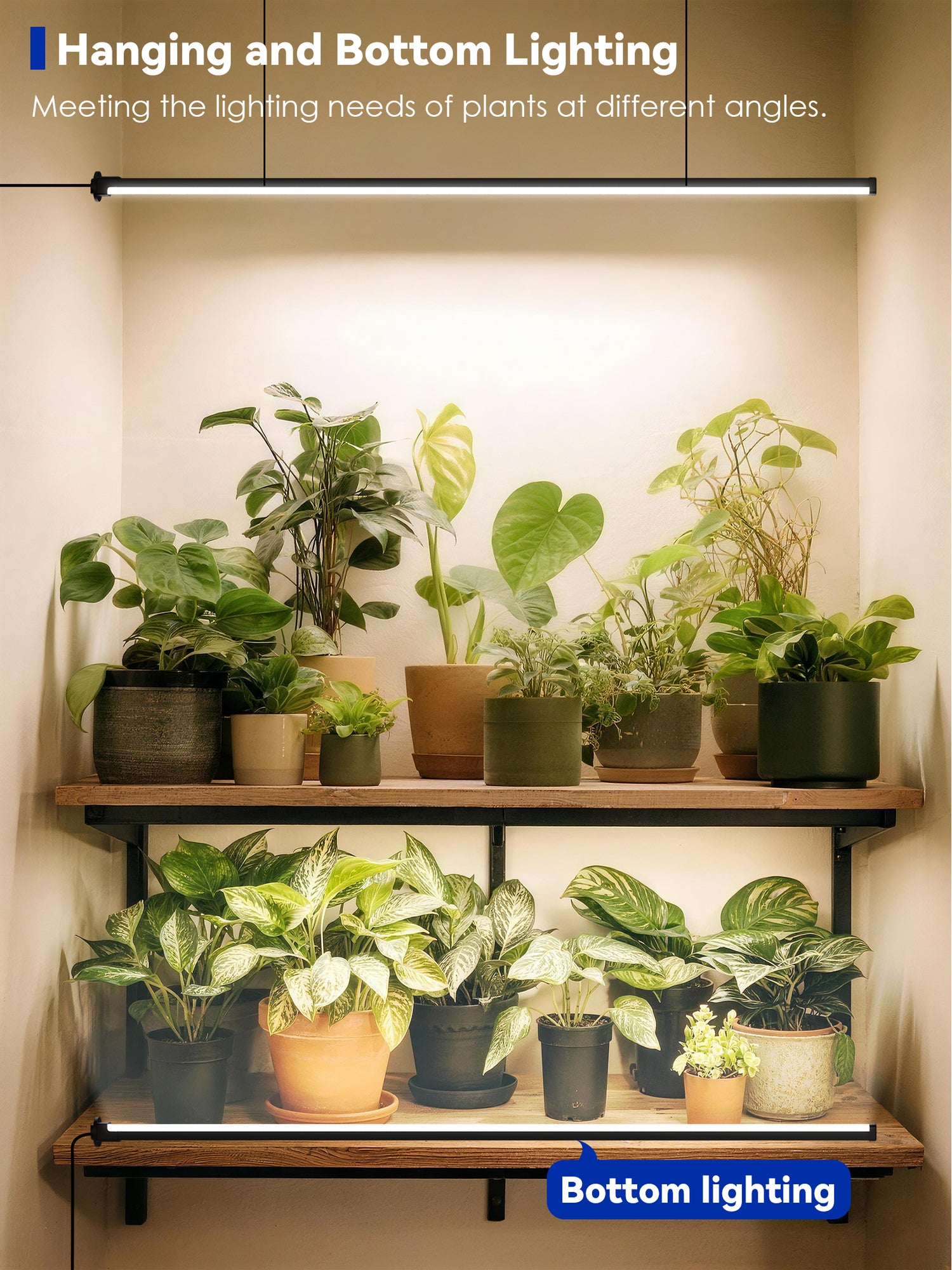 light up indoor plants GLOWRIUM Full Spectrum Plant Grow Lights (60 in) 36W Hanging and Standing Auto-Timer Wide Area Coverage in Indoor Plants-G3