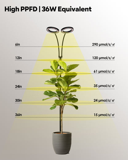 GLOWRIUM G2 | 36W Full Spectrum LED Floor Grow Light