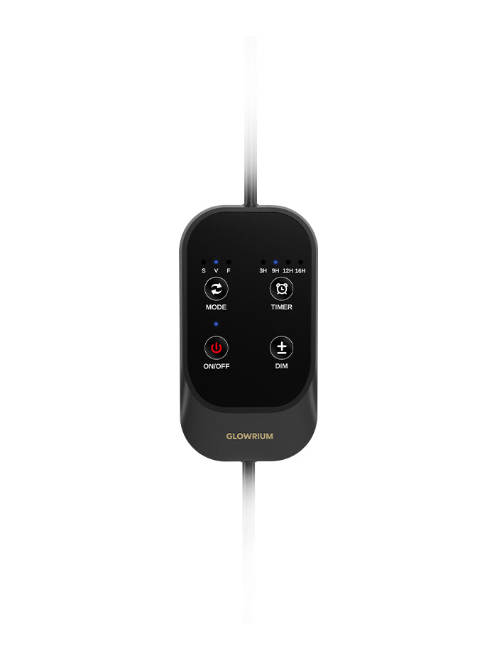 Timer - Auto On/Off