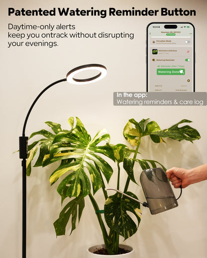 GLOWRIUM G5 | 48W Smart Full Spectrum LED Floor Grow Light