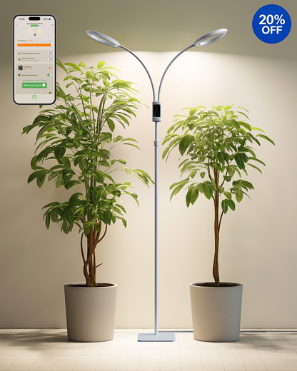 GLOWRIUM G5 | 48W Intelligente Vollspektrum-LED-Pflanzenlampe für den Bodenbereich