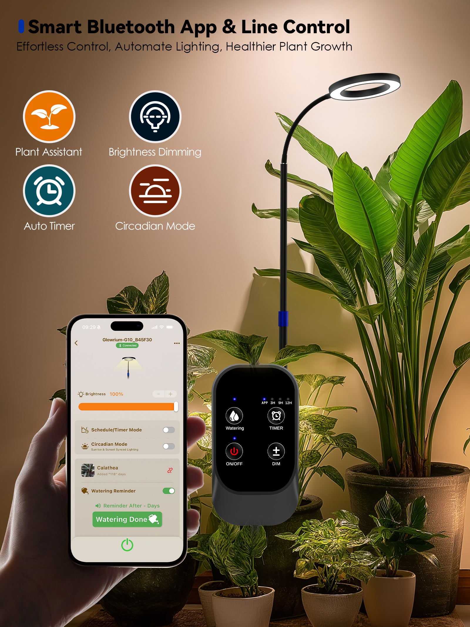 GLOWRIUM Smart Grow Light for Indoor Plants, Full Spectrum Floor Plant Light with APP Control, Auto Timer &amp; Adjustable Height for Large Tall Plants-G10