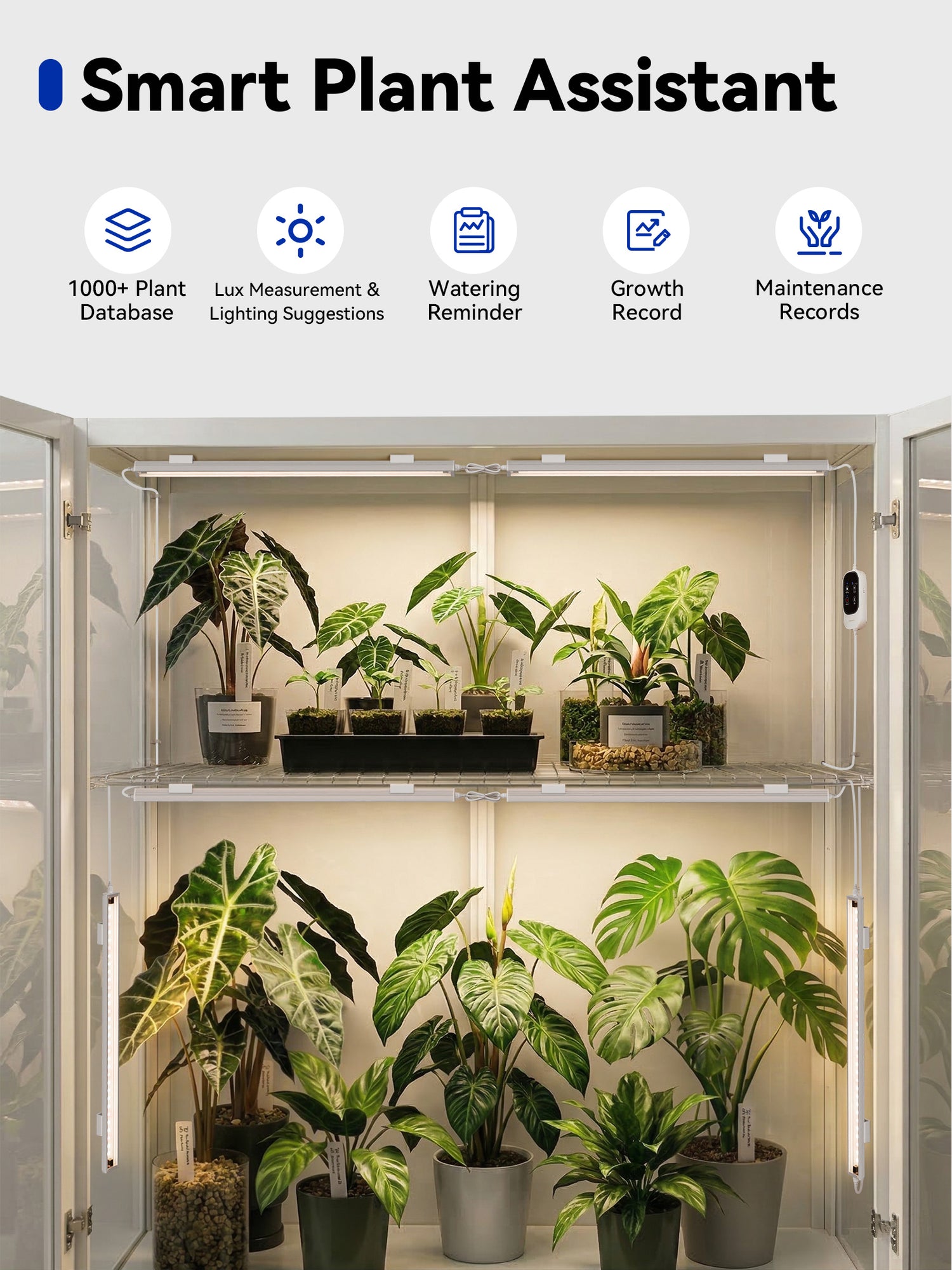 GLOWRIUM G6 | 48W (6-Pack) Smart Full Spectrum LED Grow Light Strip