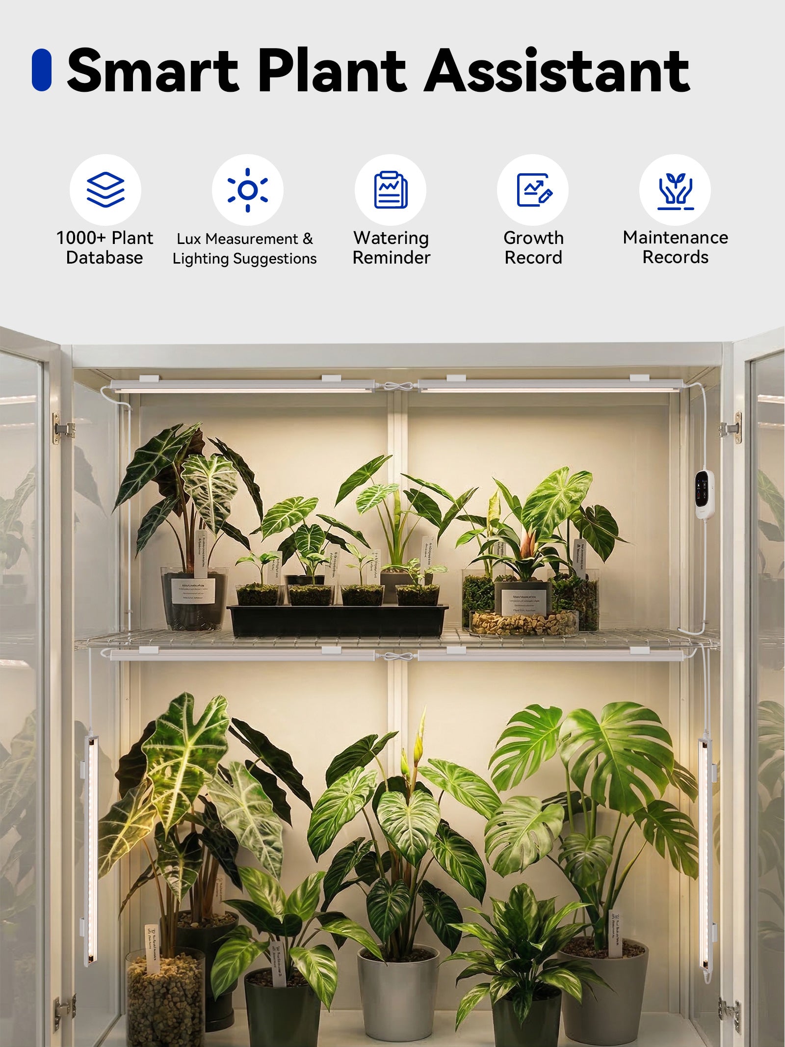 GLOWRIUM G6 | 48W (6-Pack) Smart Full Spectrum LED Grow Light Strip