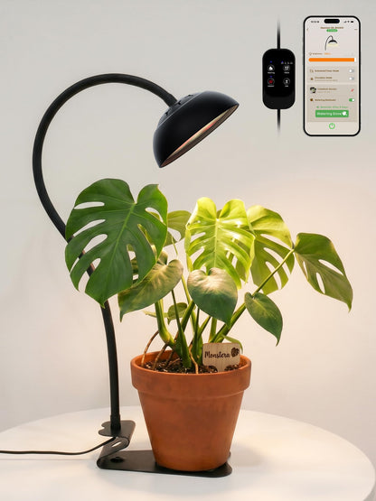 smart grow light bulb GLOWRIUM 10W Smart Grow Light – Full Spectrum LED for Indoor Plants-G8