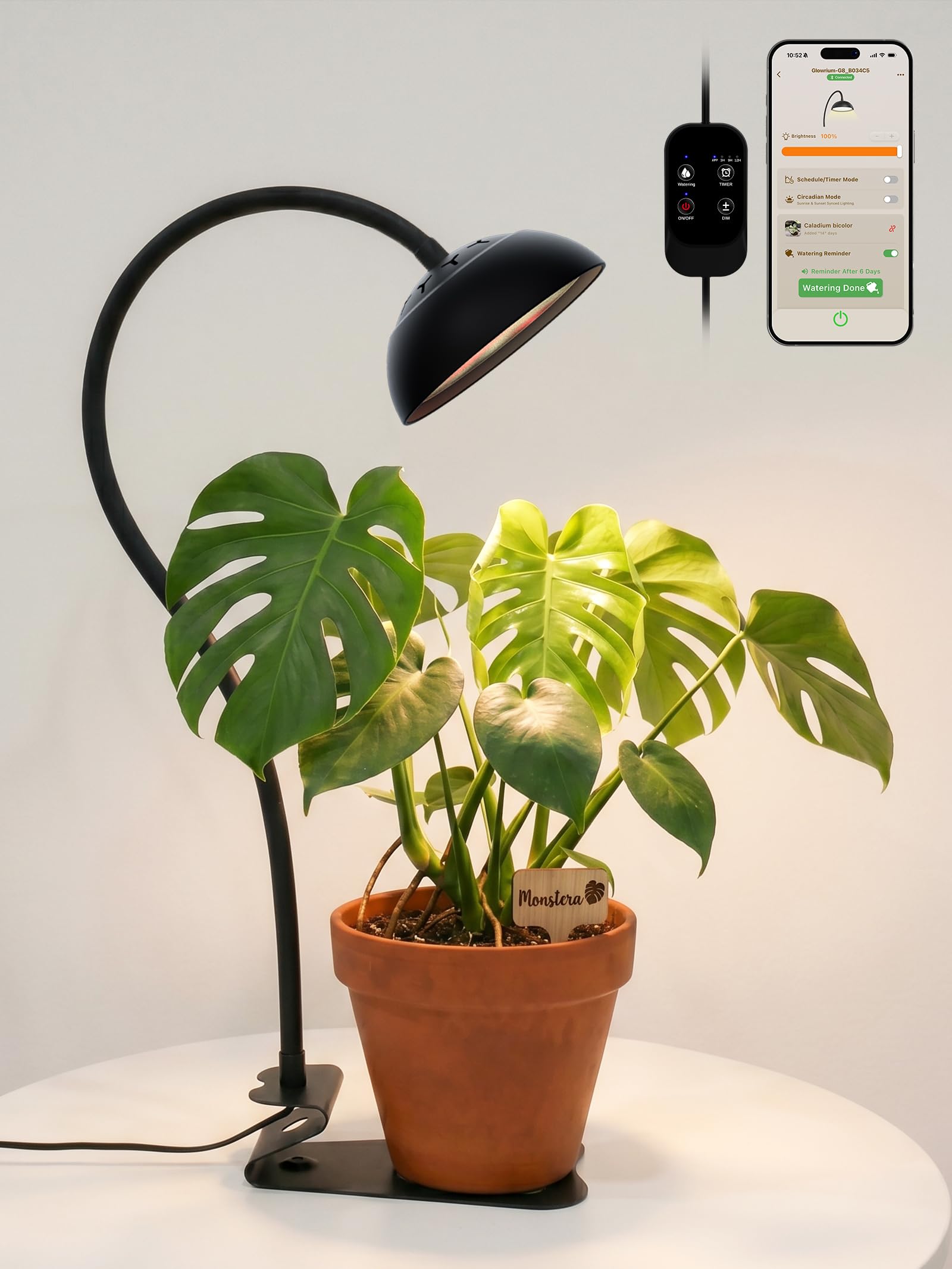 GLOWRIUM 10W Smart Grow Light – Full Spectrum LED for Indoor Plants-G8