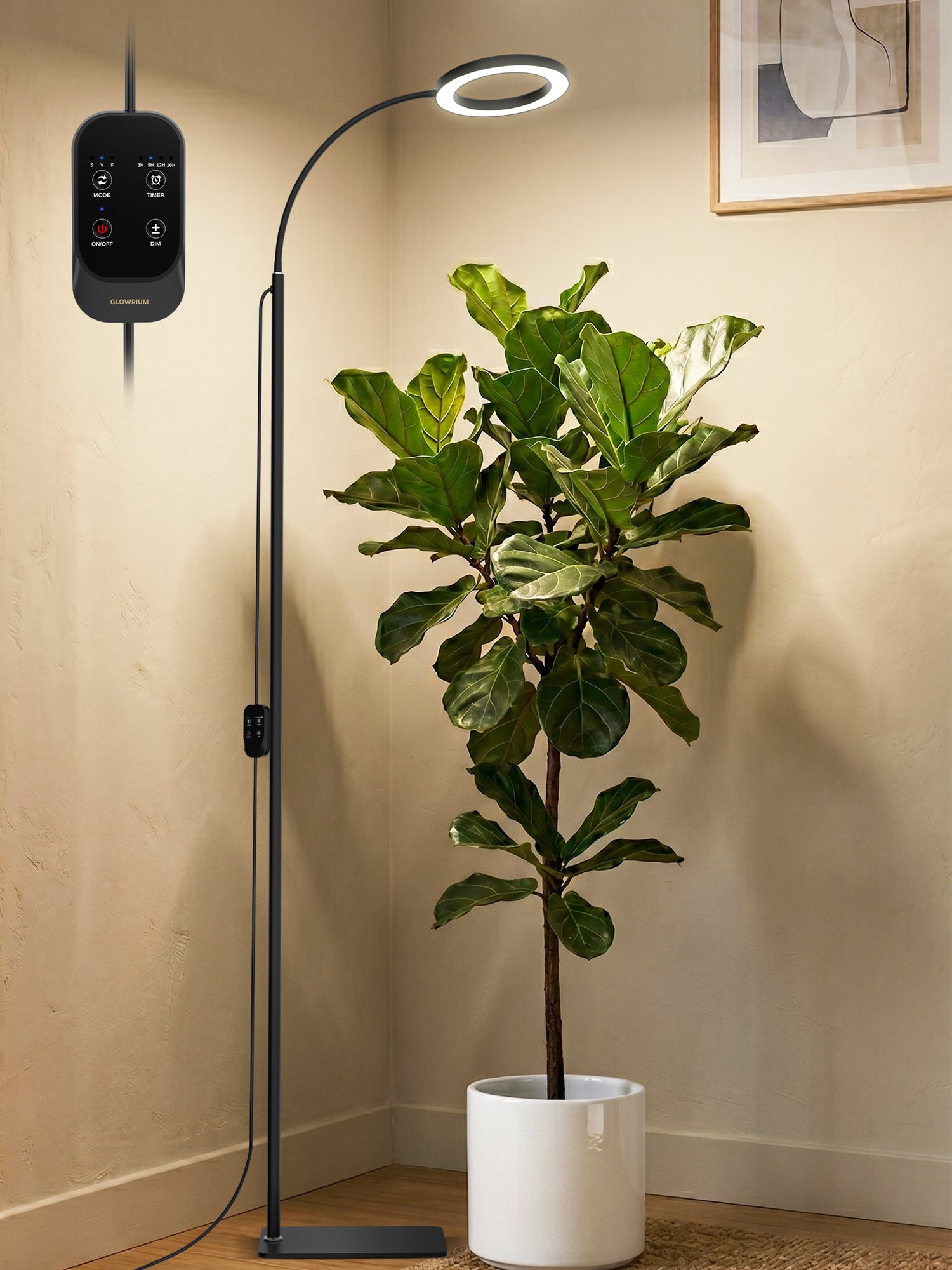 GLOWRIUM Full Spectrum 24W LED Grow Light for Indoor Plants – Adjustable Height, Timer, and Smart Care Features-G2Pro