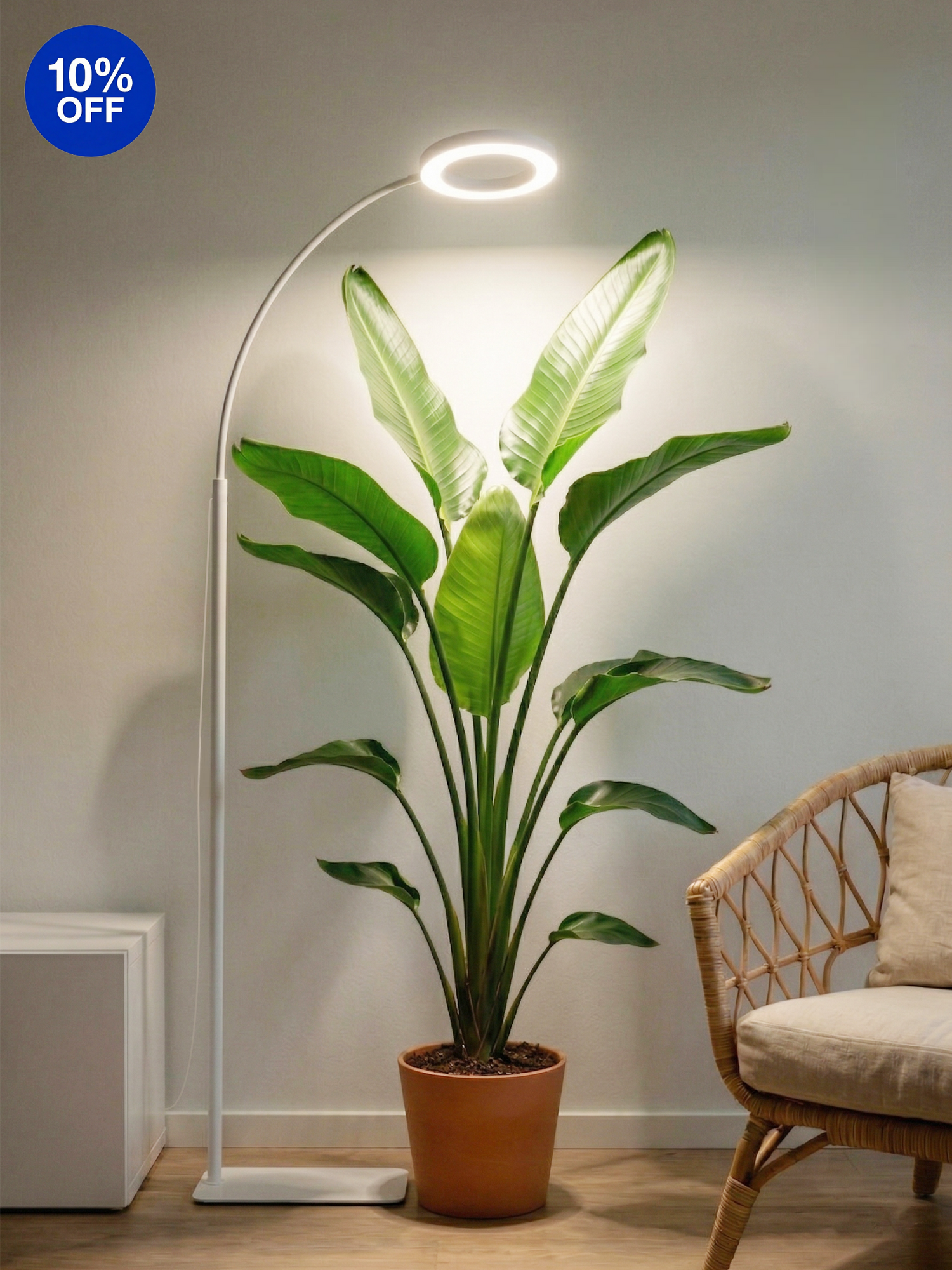 GLOWRIUM G2 | 36W Full Spectrum LED Floor Grow Light