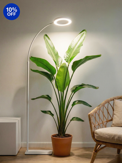 GLOWRIUM G2 | 36W Full Spectrum LED Floor Grow Light