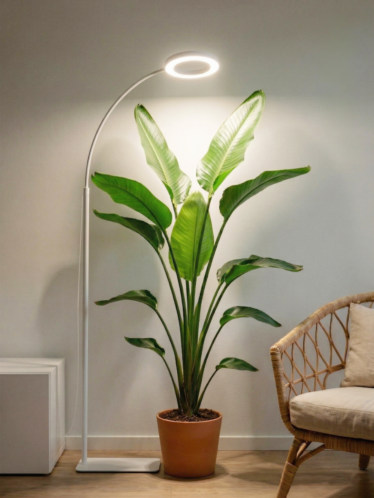 GLOWRIUM G2 | 36W LED Pflanzenlampe Vollspektrum, Standfuß