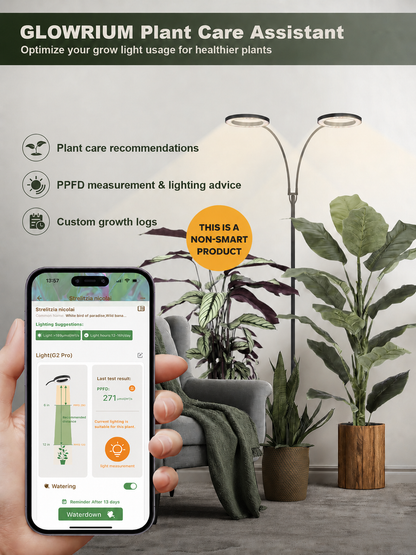 Glowrium G2 Pro non-smart floor grow light utilizing the Glowrium app assistant features for indoor plant PPFD measurement, lighting advice, plant care recommendations, and growth logs