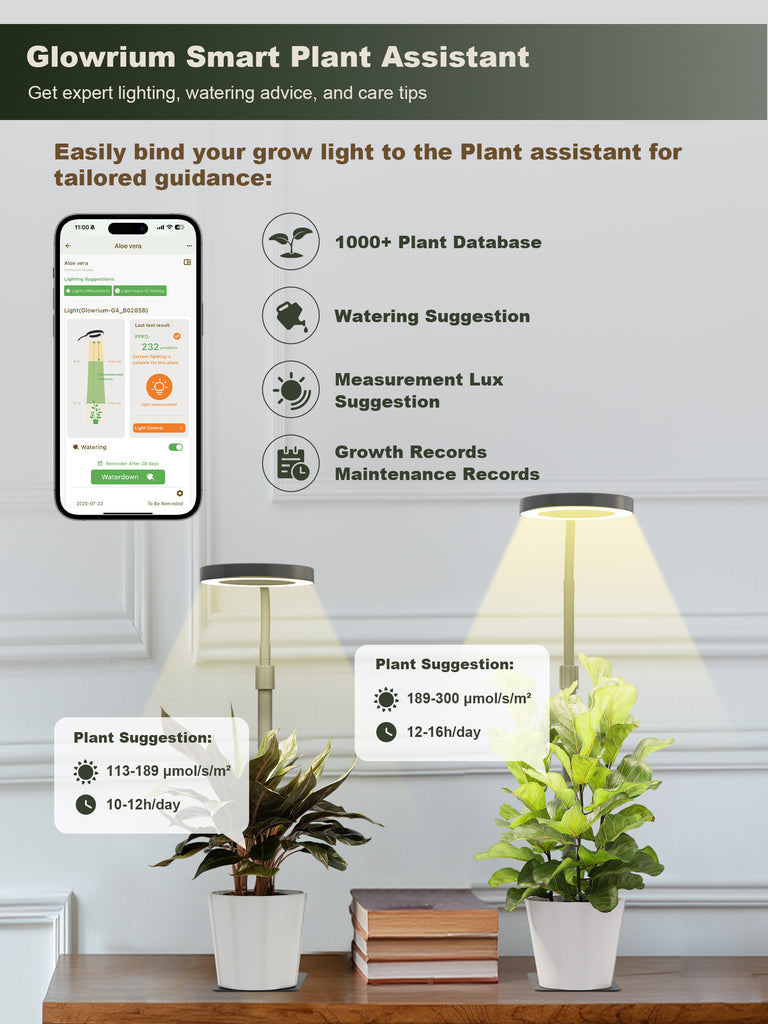 GLOWRIUM G4 | 12W Smarte Vollspektrum-LED-Desktop-Pflanzenlampe