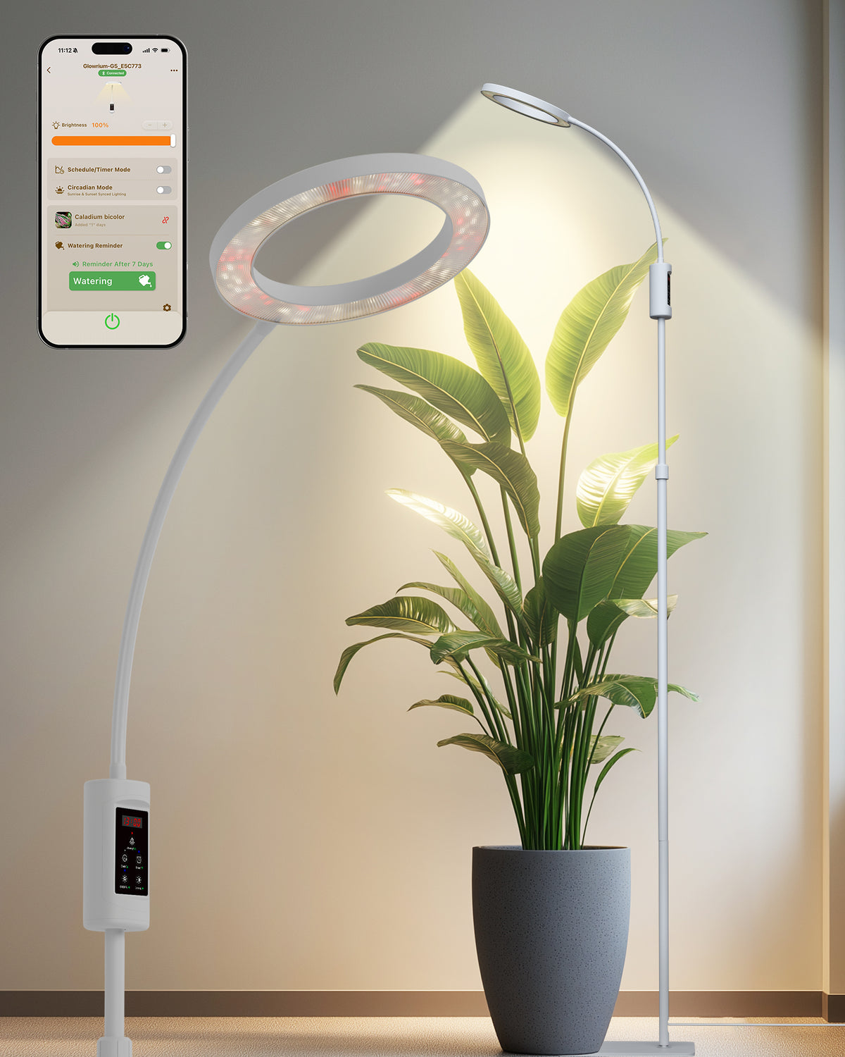 GLOWRIUM G5 | 48W Intelligente Vollspektrum-LED-Pflanzenlampe für den Bodenbereich