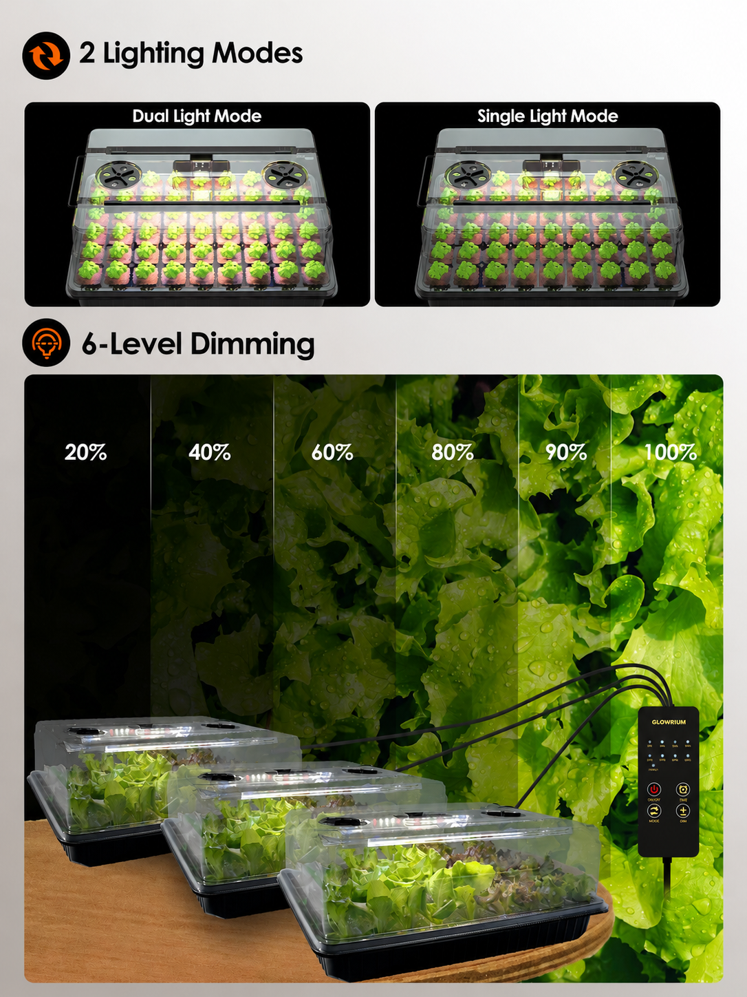 indoor plant light kit GLOWRIUM Seed Starter Kit with 30W Grow Light and Germination Trays – Glowrium