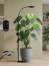 GLOWRIUM G2 20W Black Single Head Full Spectrum LED Floor Grow Light for Indoor Plants