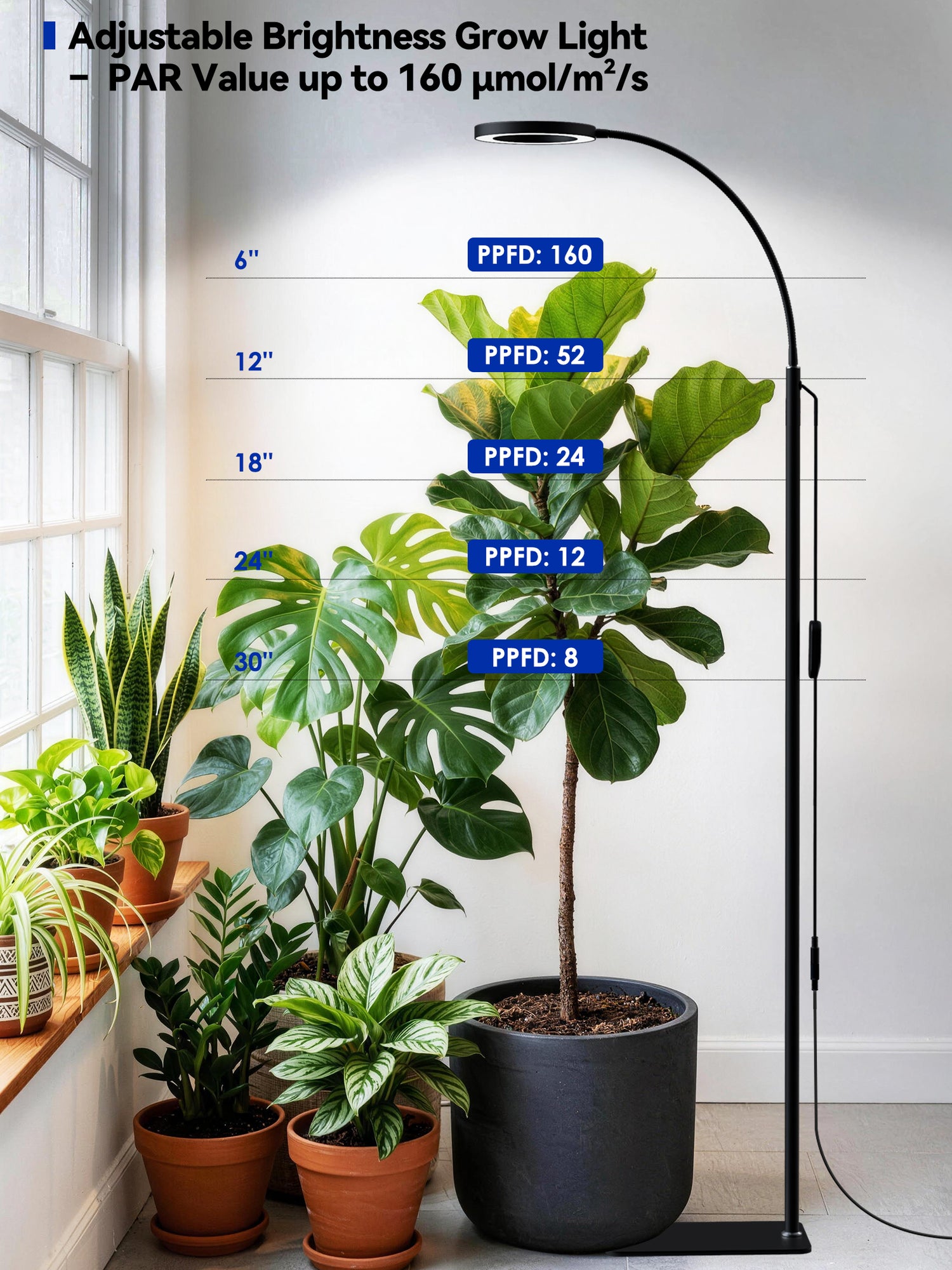 fiddle leaf fig and grow lights Grow Light Full Spectrum LED Floor Plant Light for Indoor Plants – Glowrium