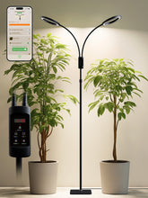 GLOWRIUM G5 Smart Black 48W Dual-Head Full Spectrum Floor Grow Light for Most Indoor Plants